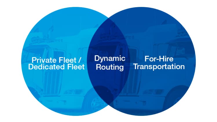 Dynamic Routing